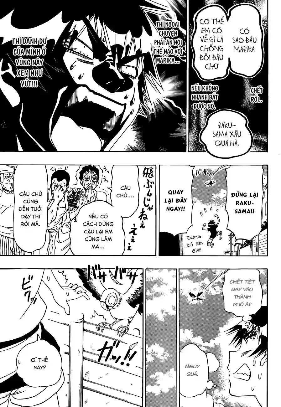 Nisekoi Chap 104 - Next Chap 105