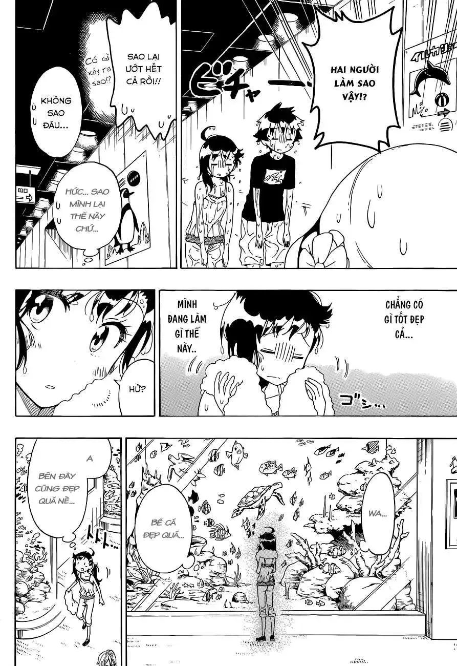 Nisekoi Chap 110 - Next Chap 111