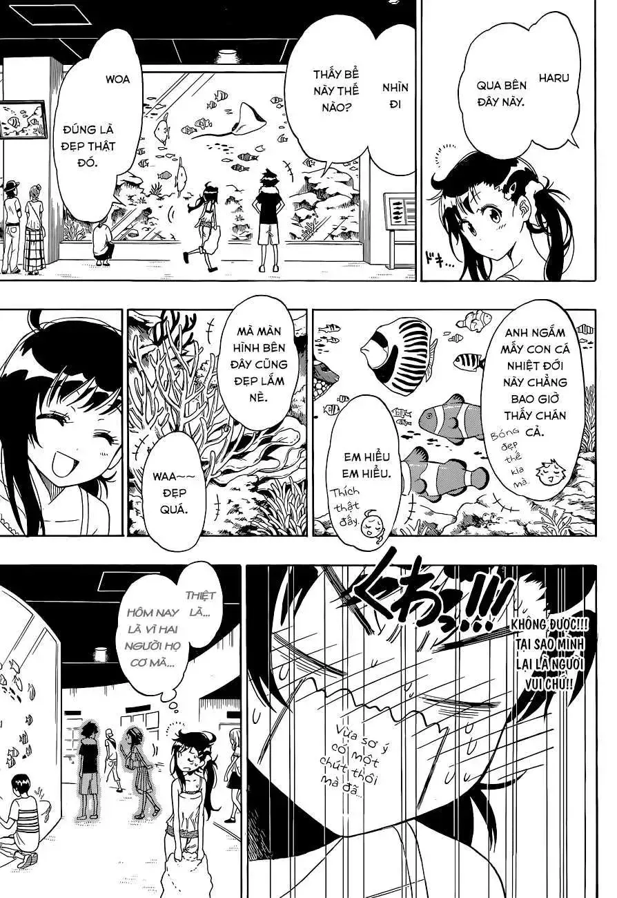 Nisekoi Chap 110 - Next Chap 111
