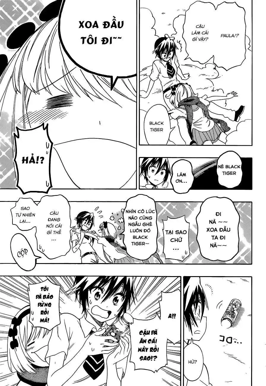 Nisekoi Chap 111 - Next Chap 112
