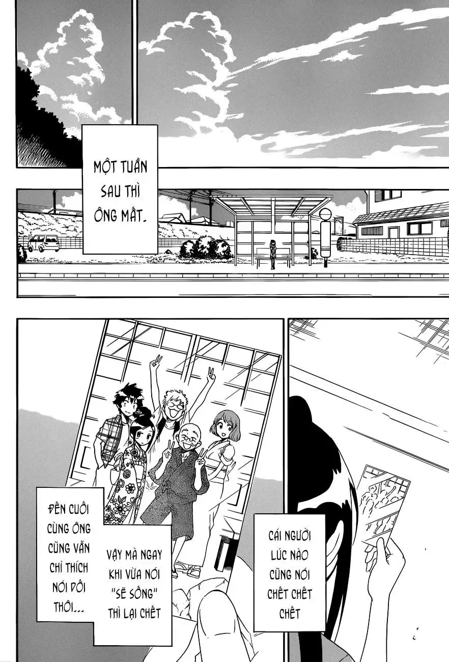 Nisekoi Chap 115 - Next Chap 116