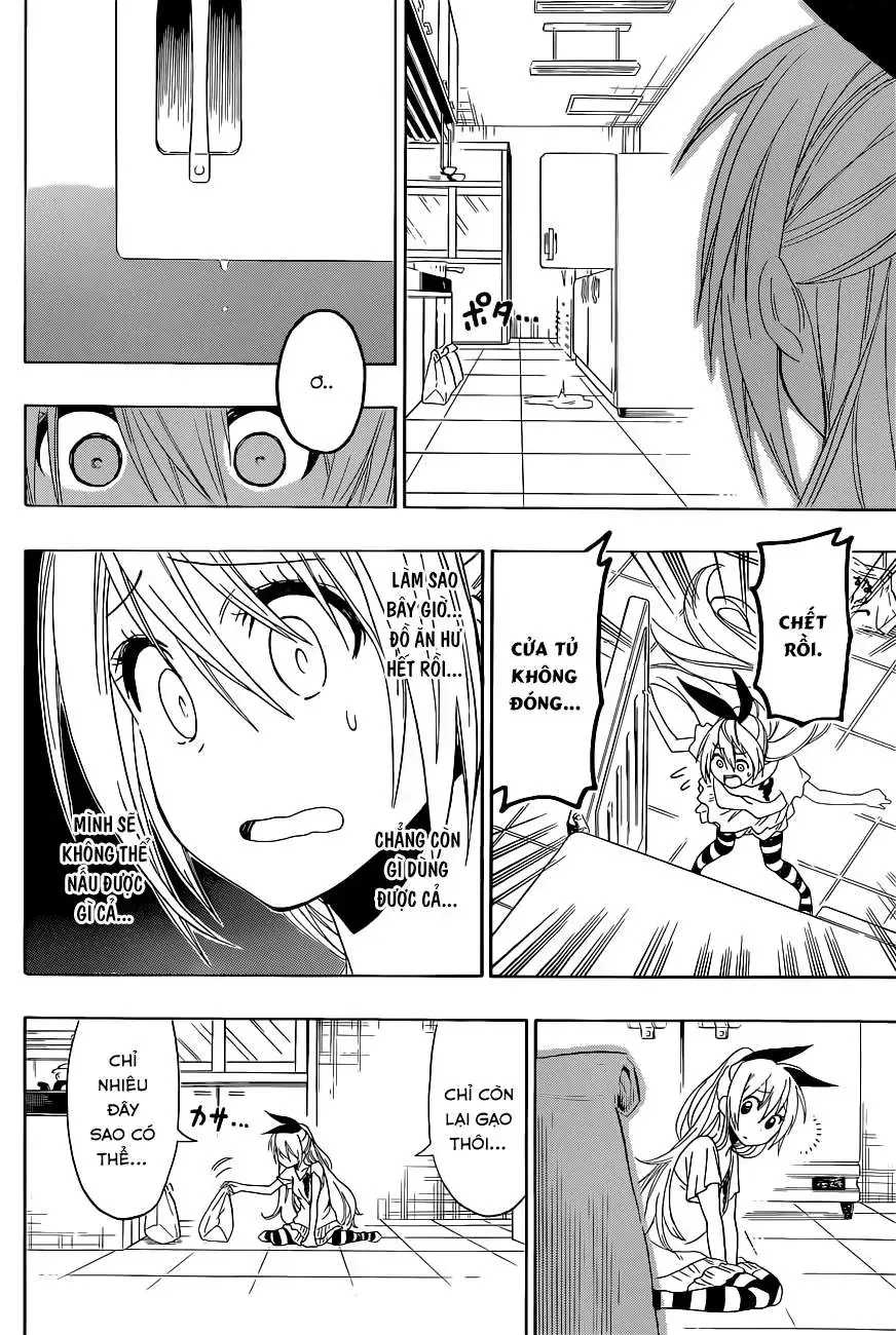 Nisekoi Chap 116 - Next Chap 117
