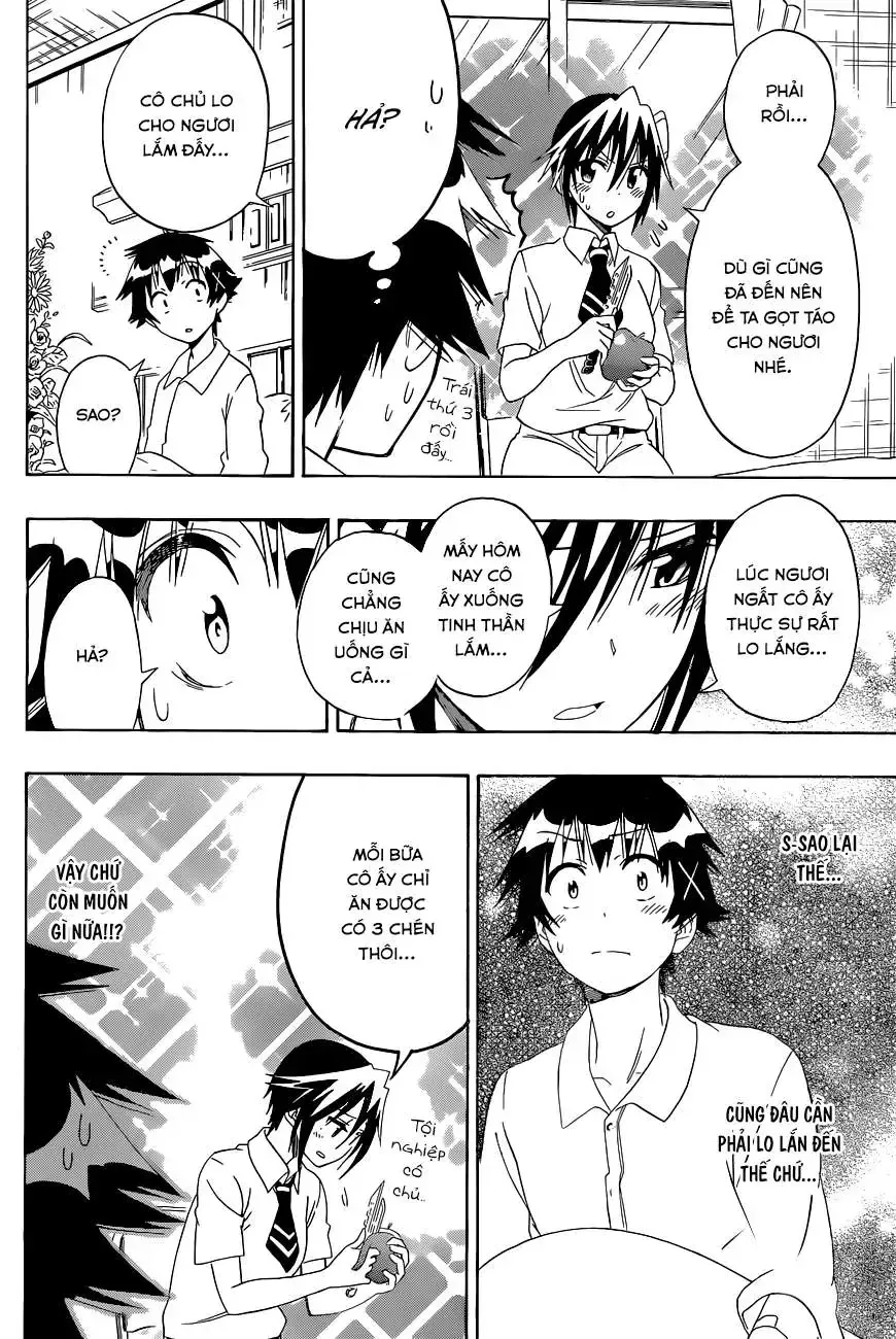 Nisekoi Chap 117 - Next Chap 118