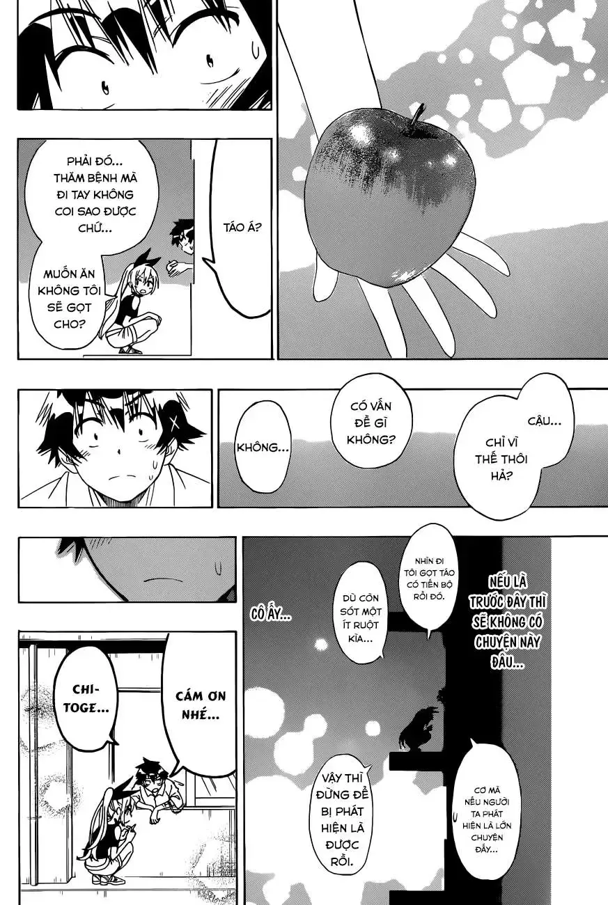 Nisekoi Chap 117 - Next Chap 118