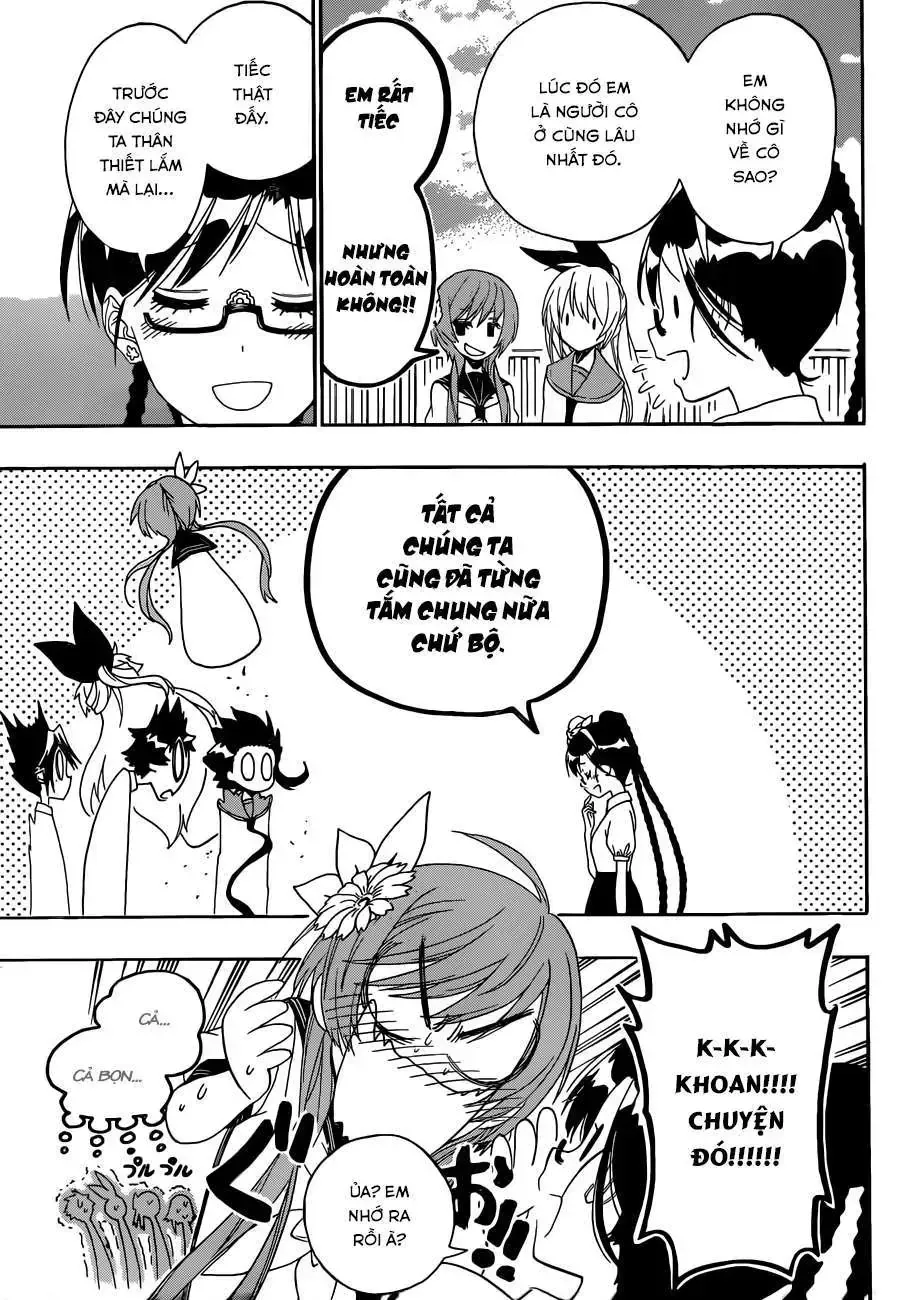 Nisekoi Chap 120 - Next Chap 121