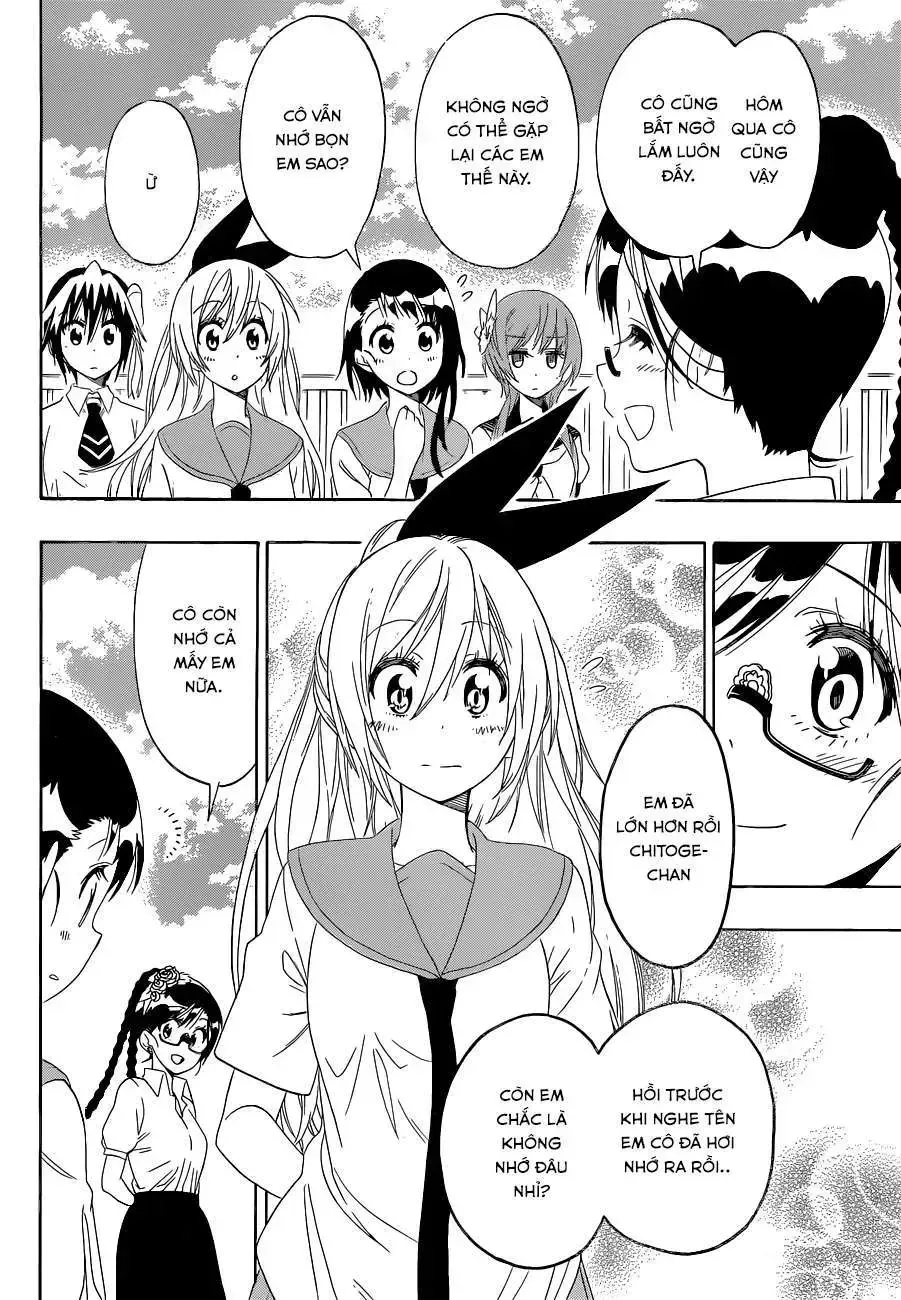 Nisekoi Chap 120 - Next Chap 121