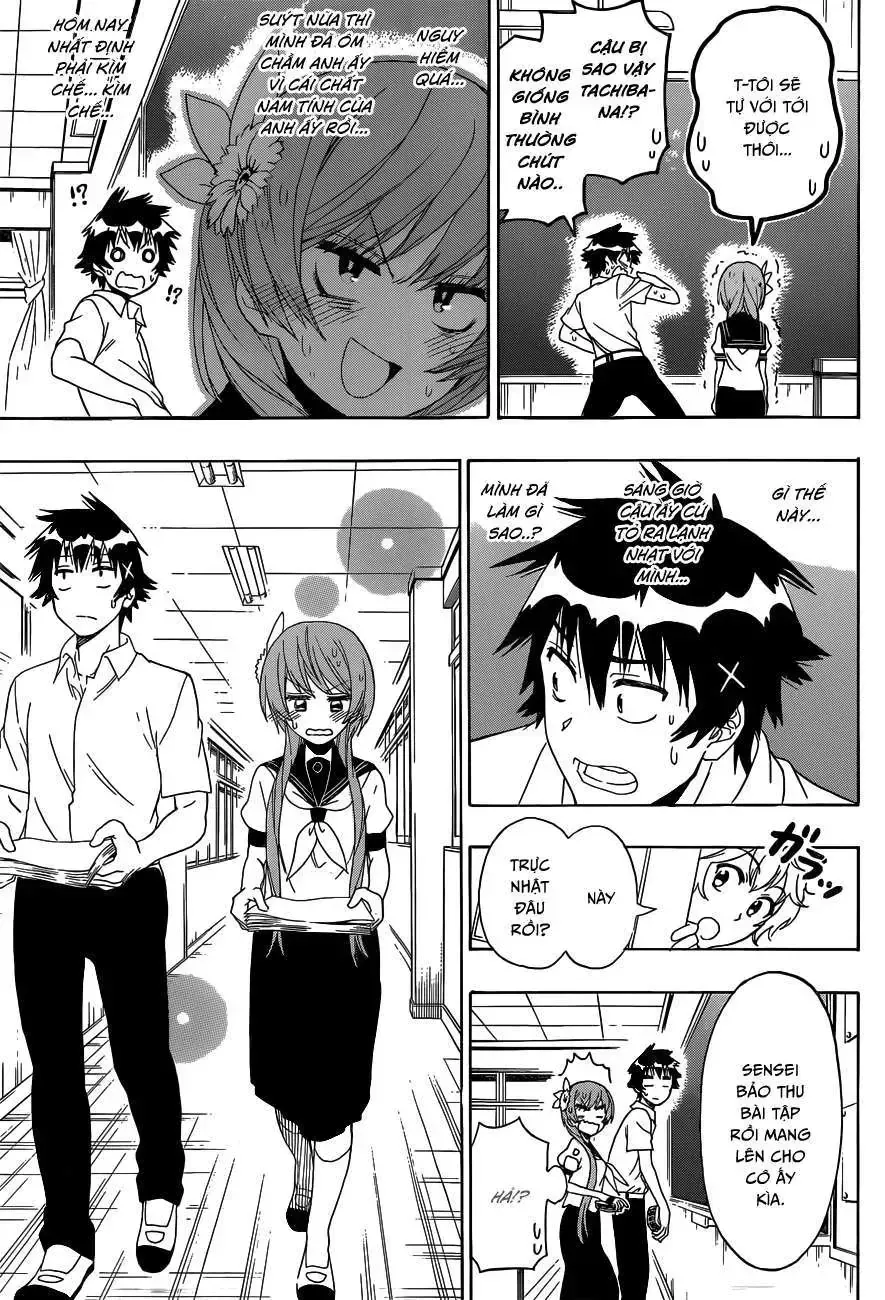 Nisekoi Chap 129 - Next Chap 130