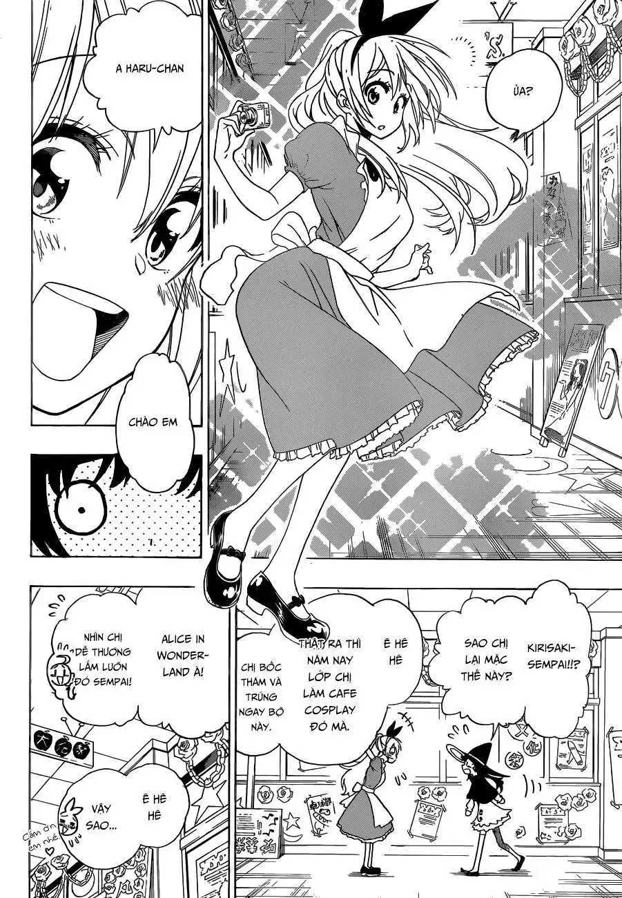 Nisekoi Chap 131 - Next Chap 132