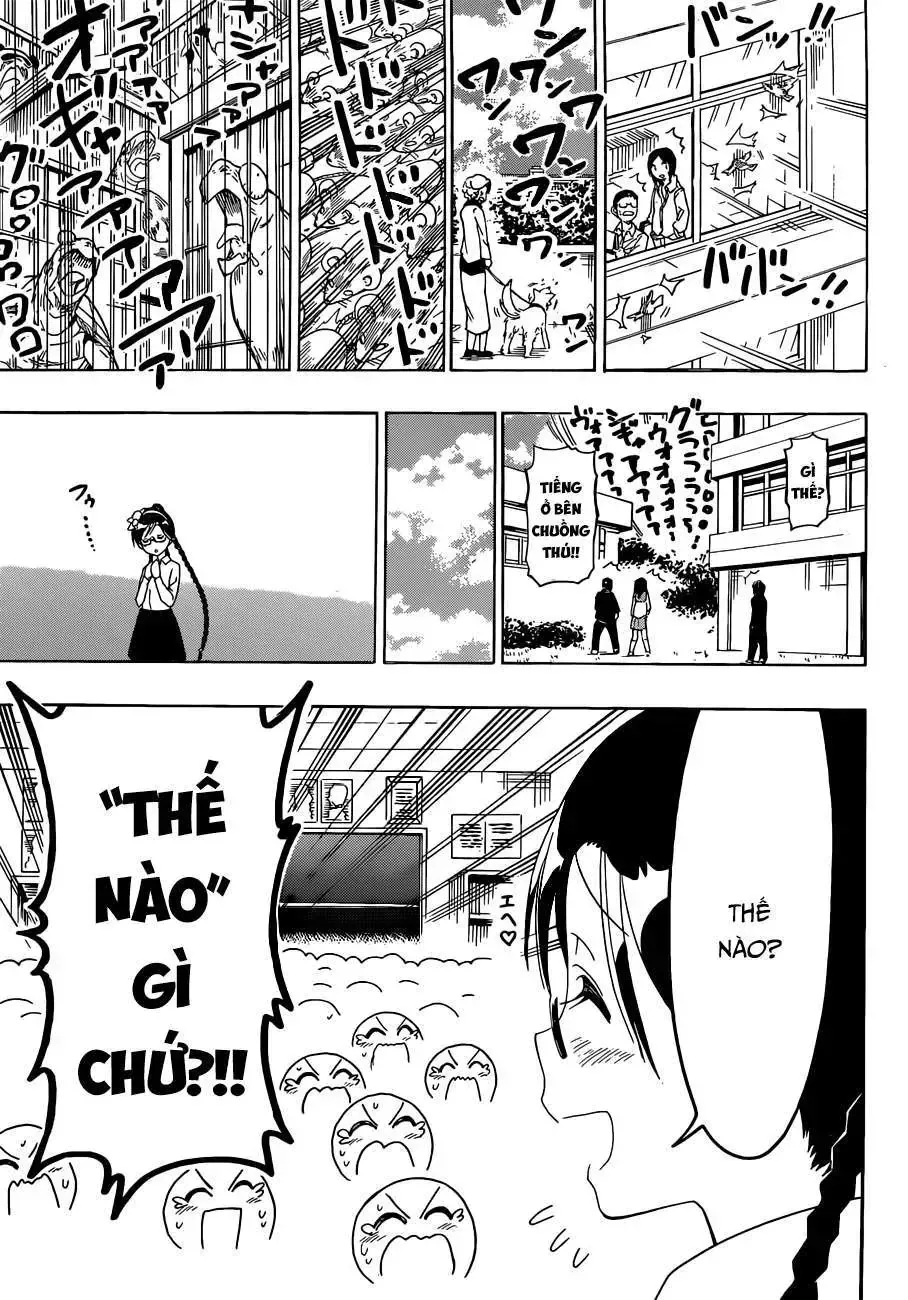 Nisekoi Chap 135 - Next Chap 136