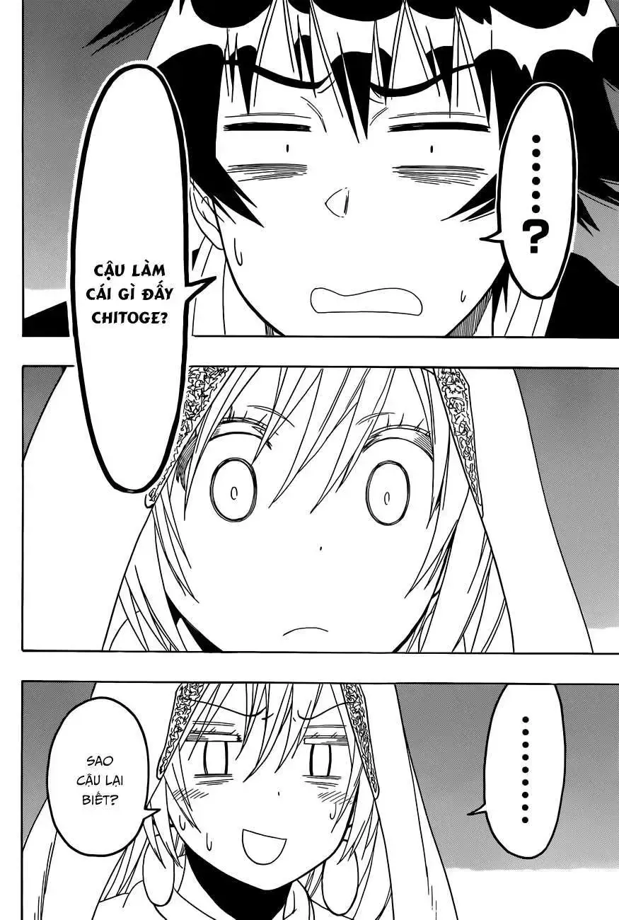 Nisekoi Chap 139 - Next Chap 140