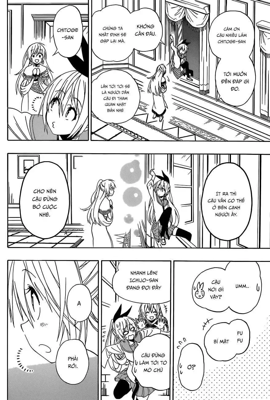 Nisekoi Chap 139 - Next Chap 140