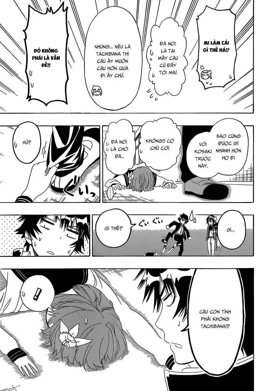 Nisekoi Chap 140 - Next Chap 141