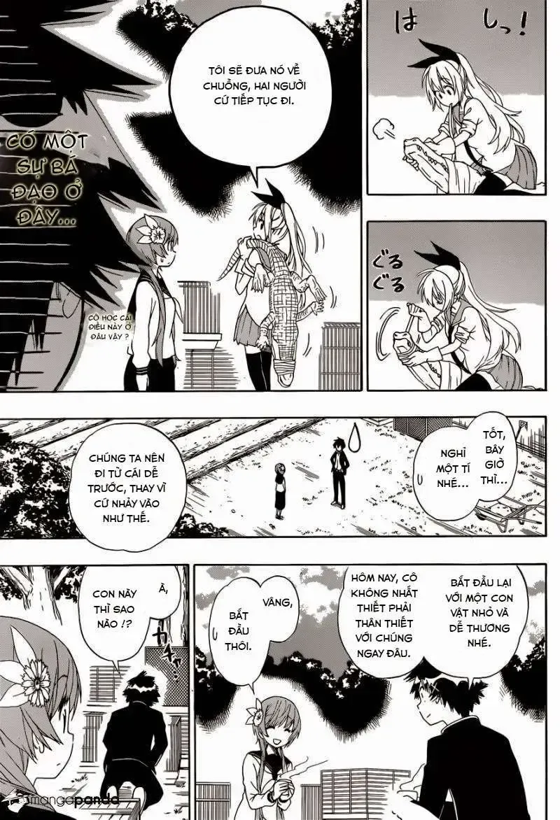 Nisekoi Chap 142 - Next Chap 143