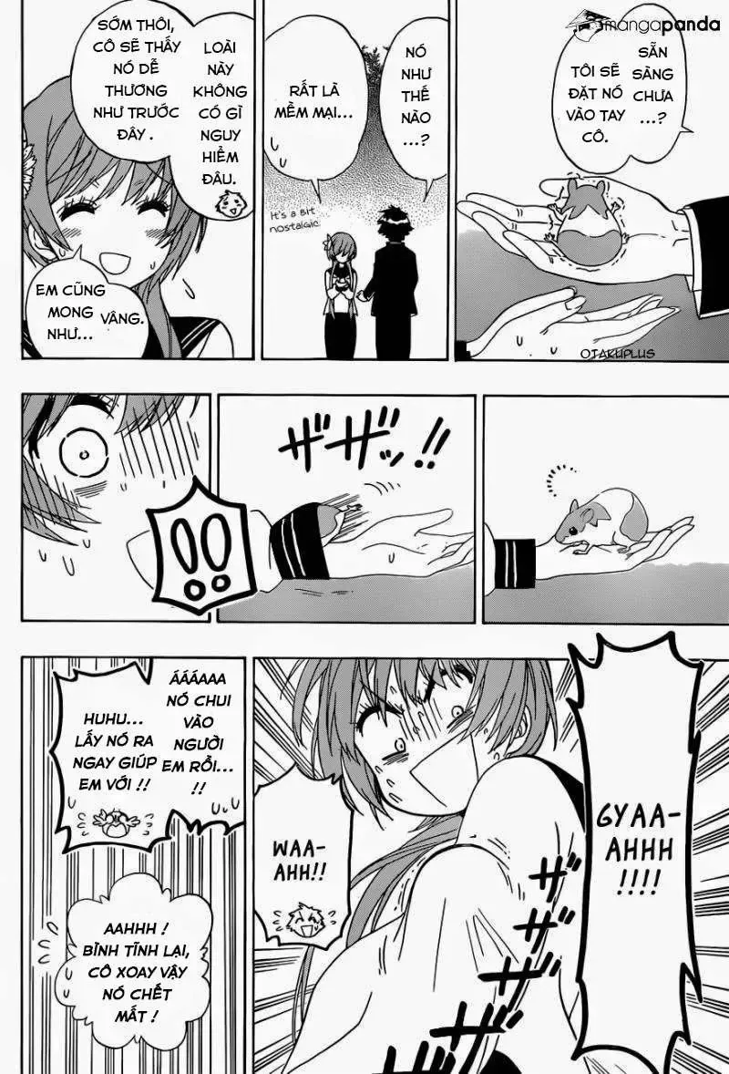 Nisekoi Chap 142 - Next Chap 143