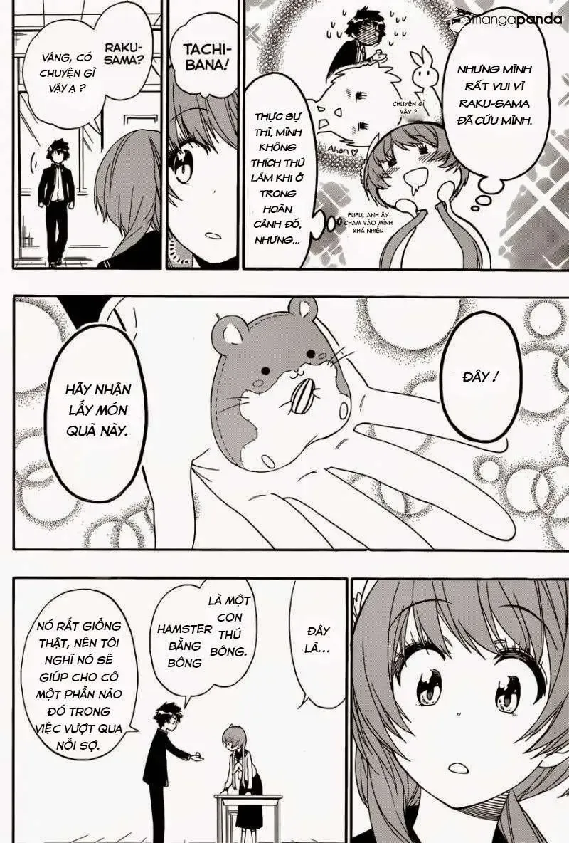 Nisekoi Chap 142 - Next Chap 143