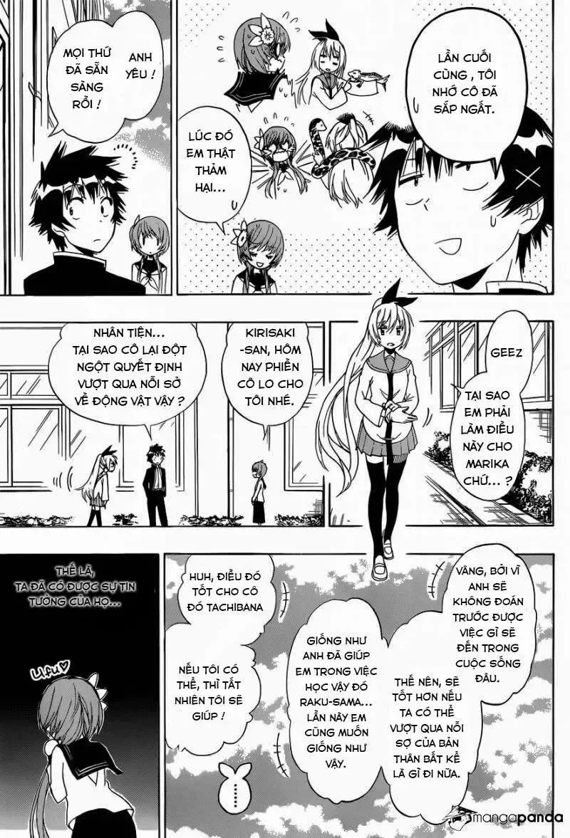 Nisekoi Chap 142 - Next Chap 143