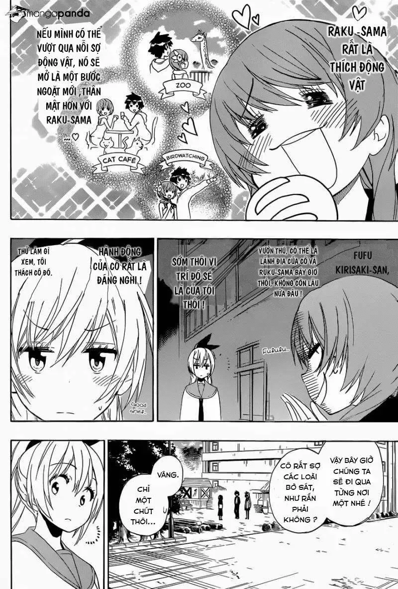 Nisekoi Chap 142 - Next Chap 143