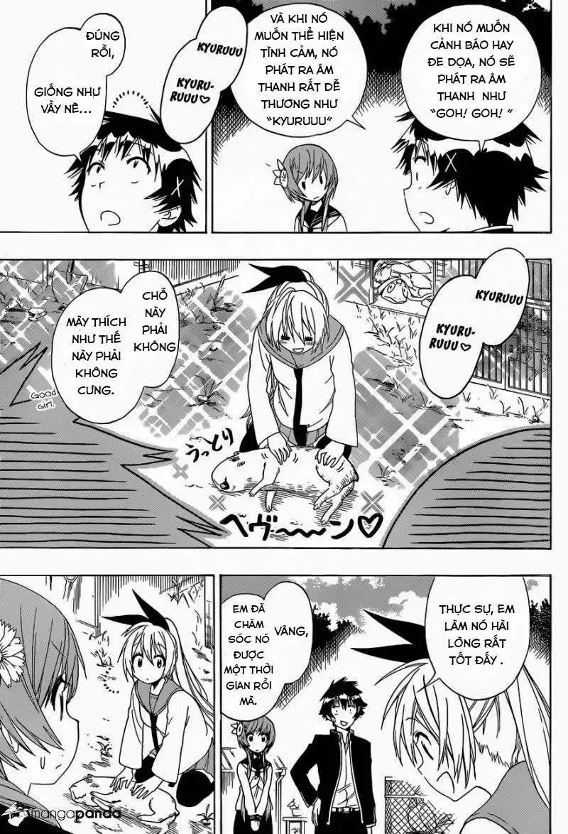 Nisekoi Chap 142 - Next Chap 143