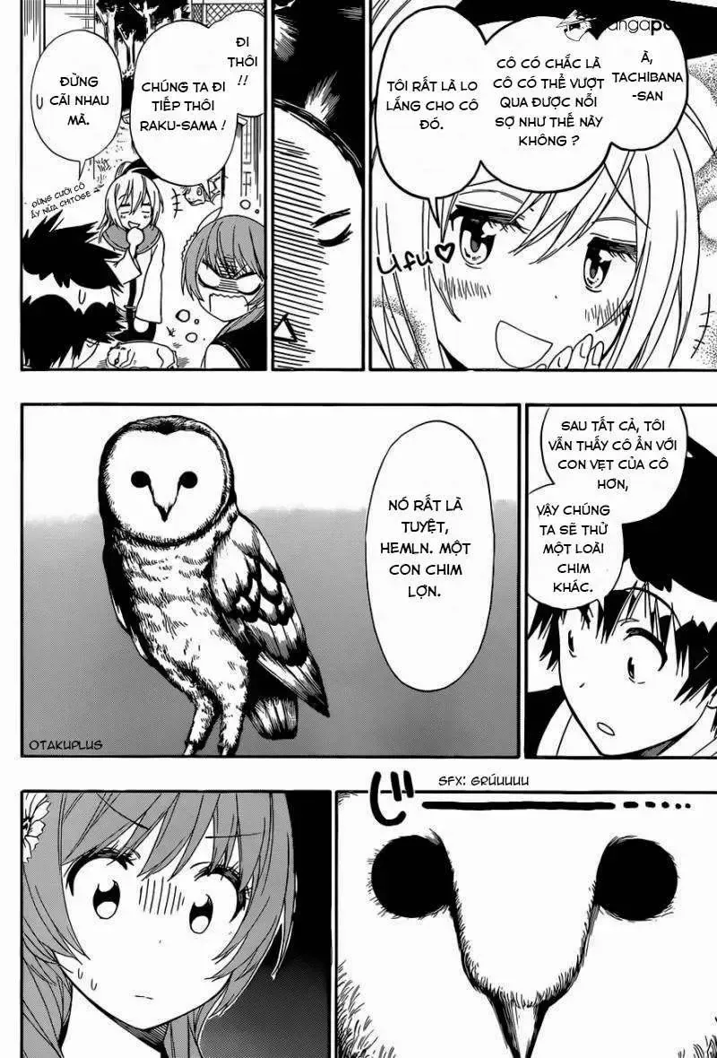 Nisekoi Chap 142 - Next Chap 143