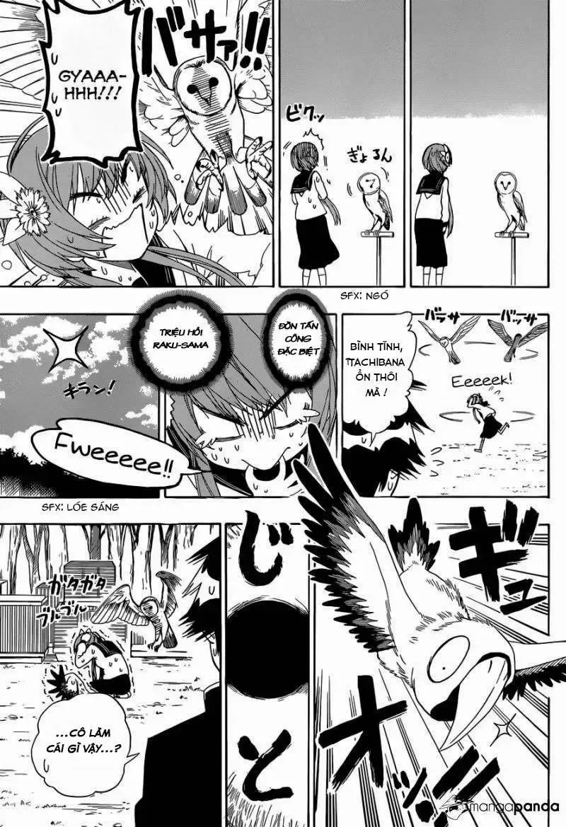 Nisekoi Chap 142 - Next Chap 143