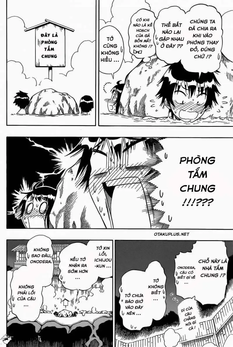 Nisekoi Chap 144 - Next Chap 145