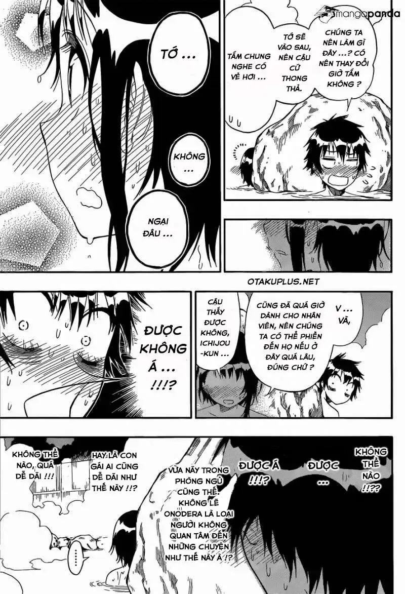 Nisekoi Chap 144 - Next Chap 145