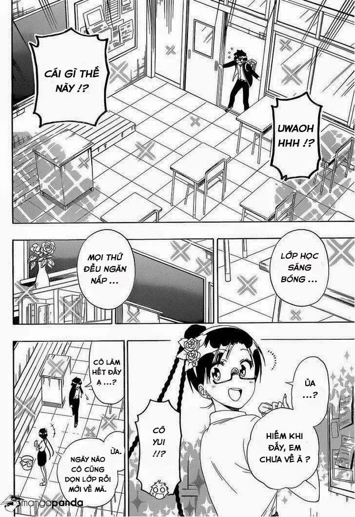 Nisekoi Chap 146 - Next Chap 147