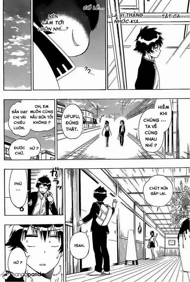 Nisekoi Chap 148 - Next Chap 149