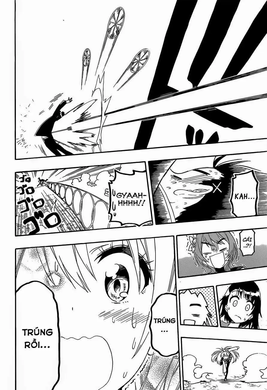 Nisekoi Chap 156 - Next Chap 157