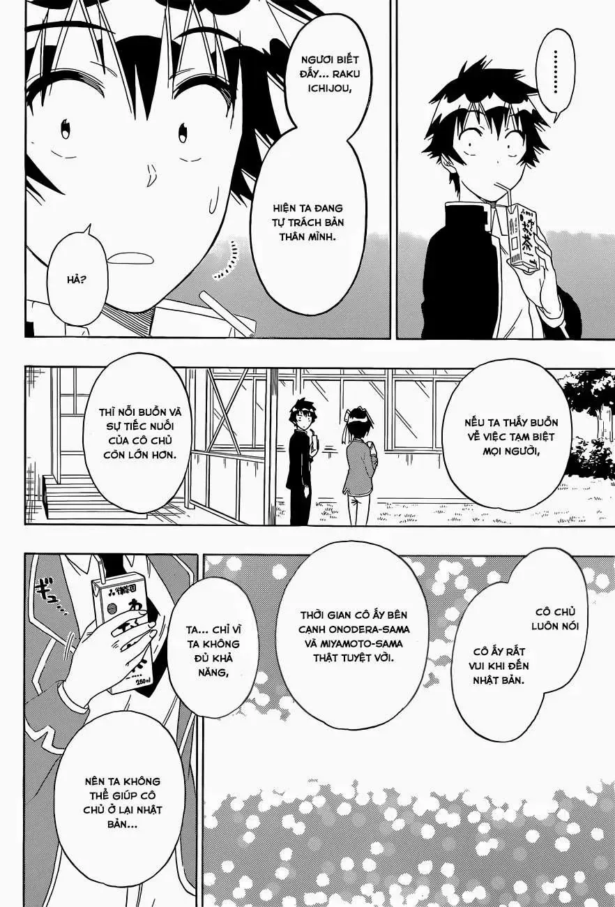 Nisekoi Chap 158 - Next Chap 159