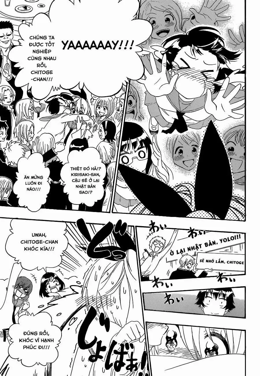 Nisekoi Chap 162 - Next Chap 163