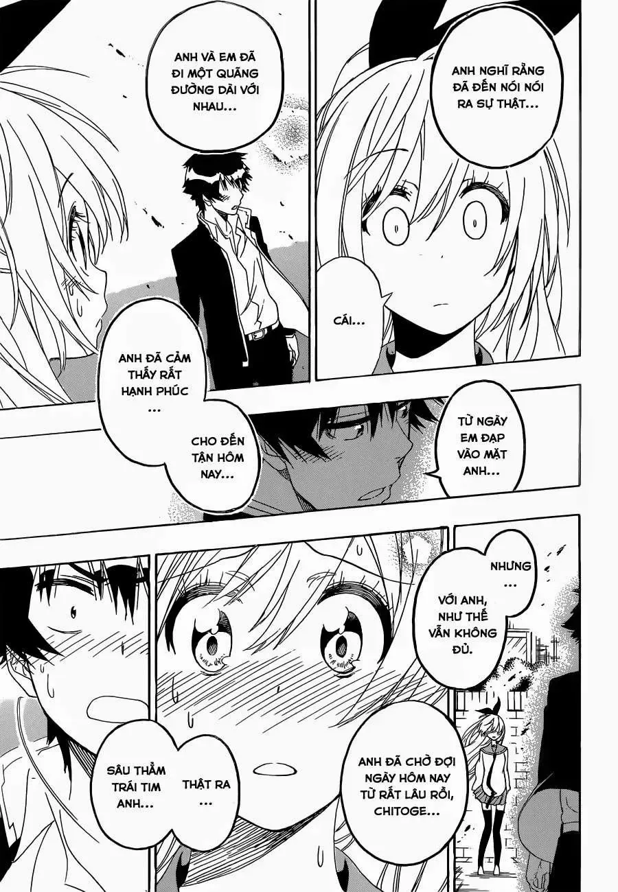 Nisekoi Chap 162 - Next Chap 163