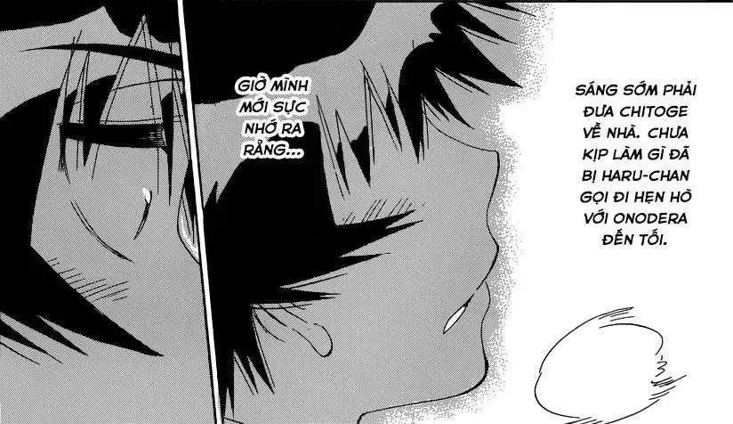 Nisekoi Chap 167 - Next Chap 168