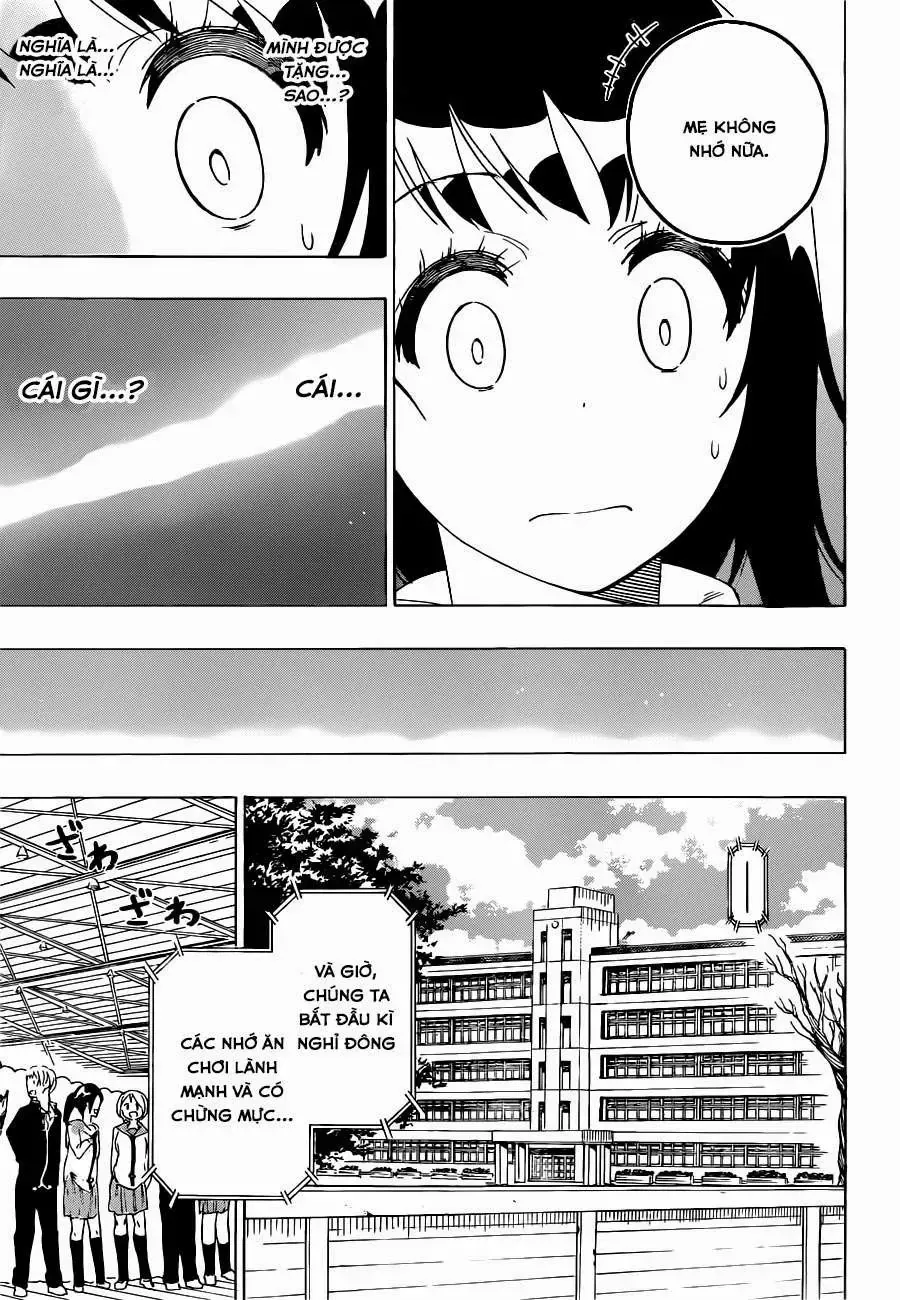 Nisekoi Chap 168 - Next Chap 169