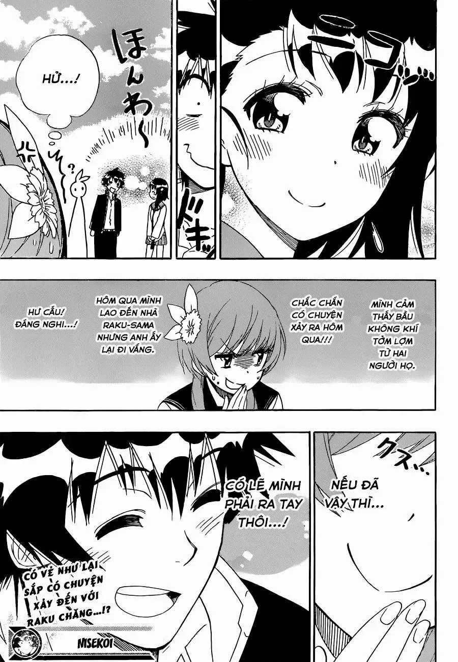 Nisekoi Chap 168 - Next Chap 169