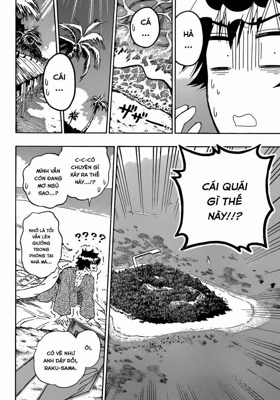 Nisekoi Chap 169 - Next Chap 170