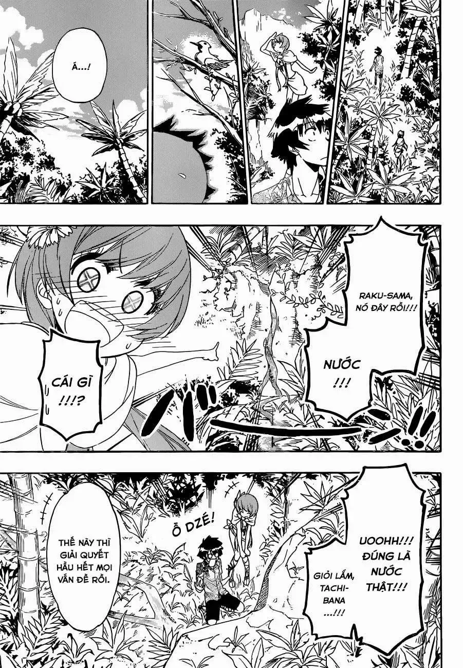 Nisekoi Chap 170 - Next Chap 171