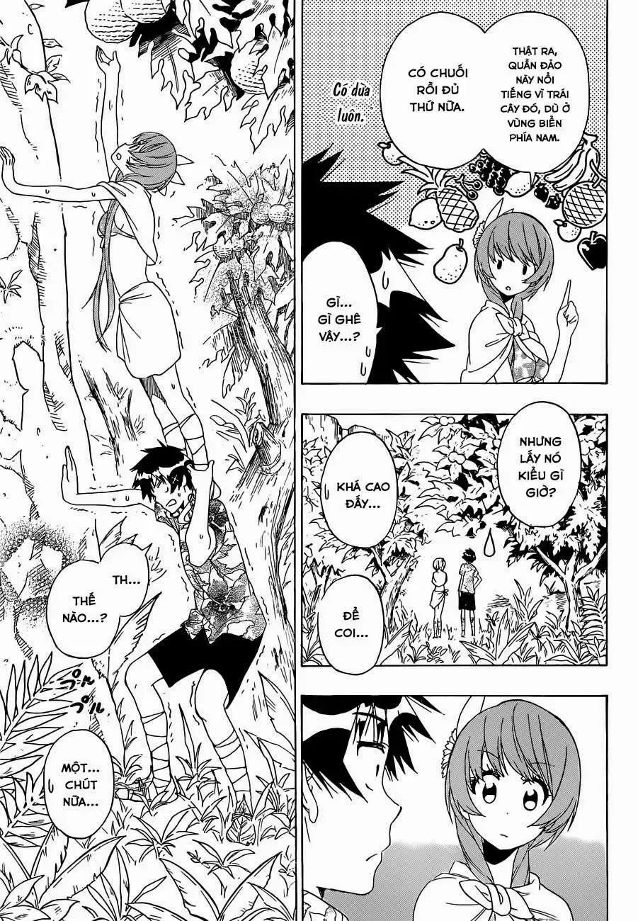 Nisekoi Chap 170 - Next Chap 171