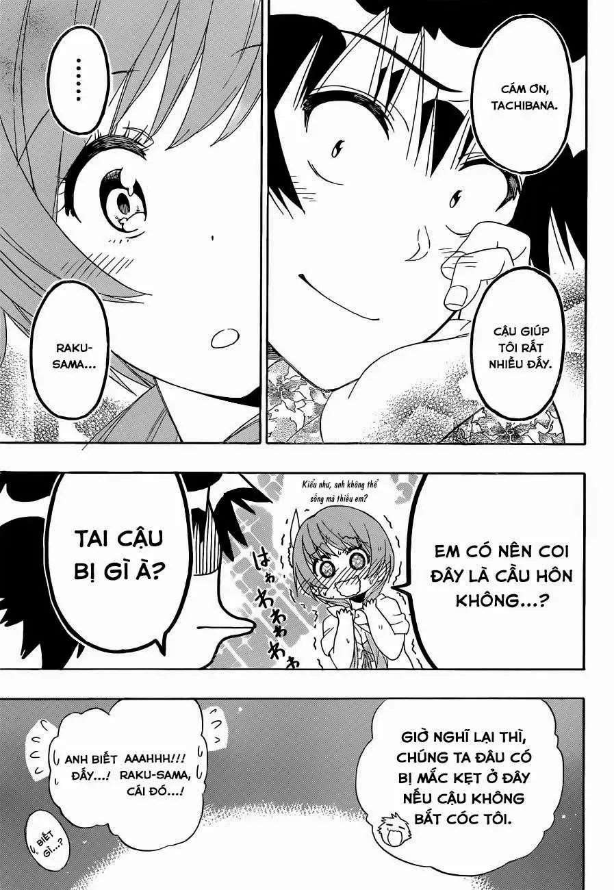 Nisekoi Chap 170 - Next Chap 171