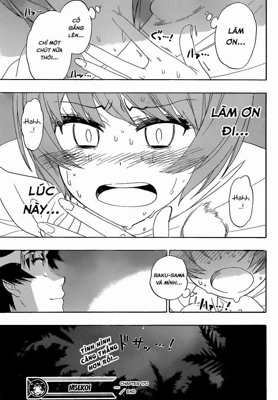 Nisekoi Chap 170 - Next Chap 171