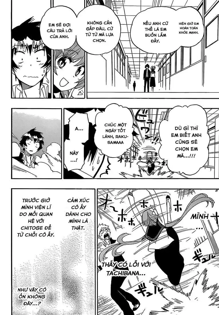 Nisekoi Chap 175 - Next Chap 176