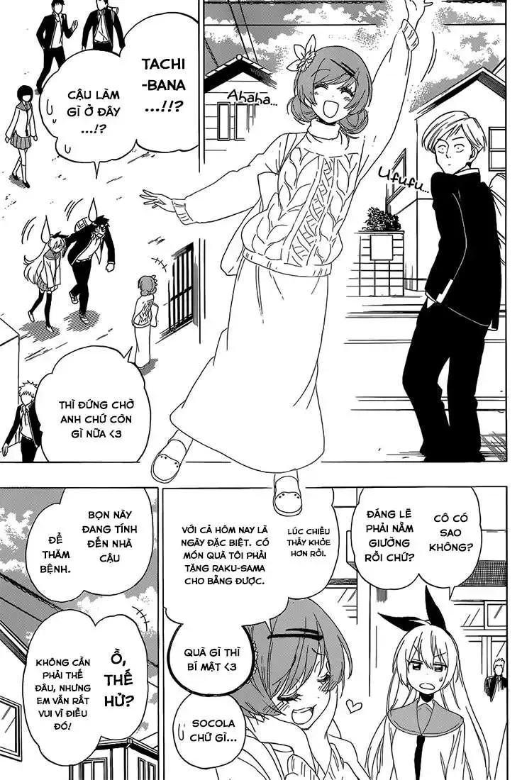 Nisekoi Chap 180 - Next Chap 181