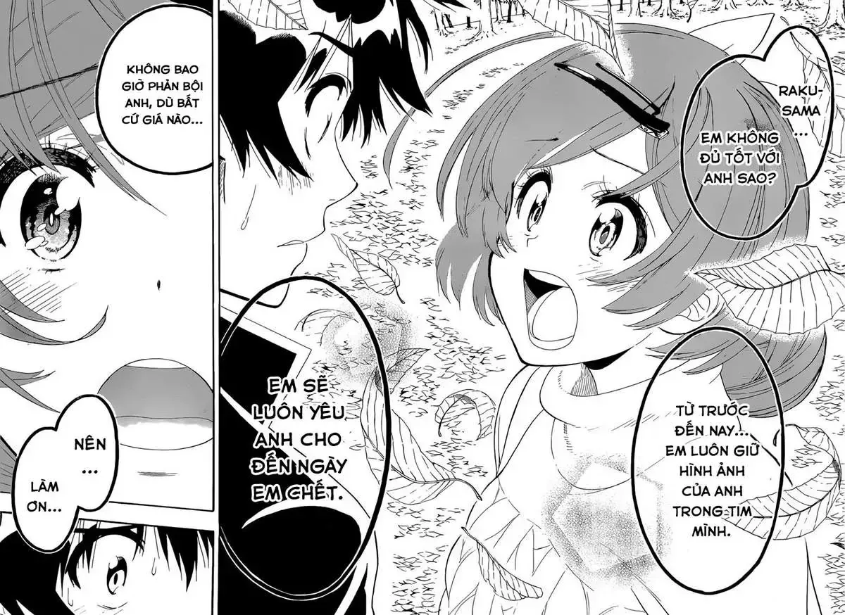 Nisekoi Chap 181 - Next Chap 182