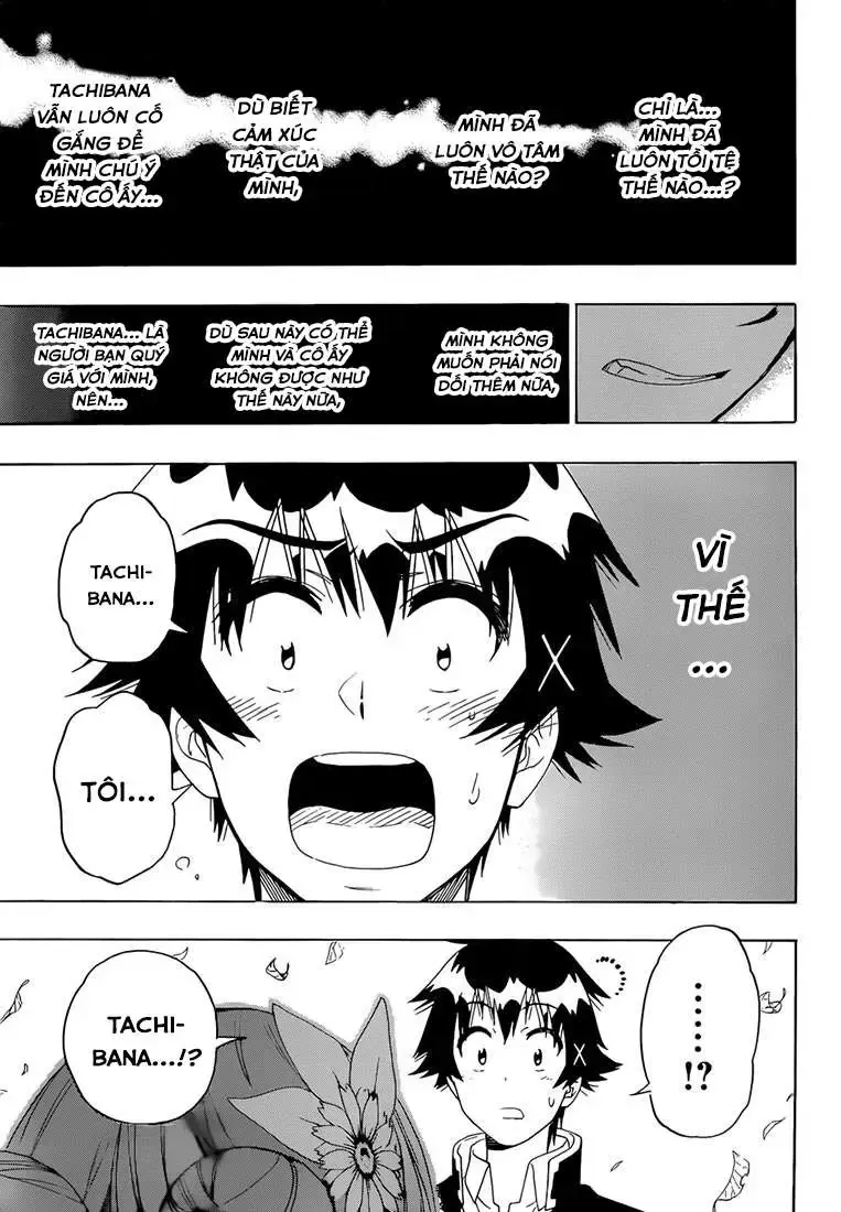 Nisekoi Chap 181 - Next Chap 182