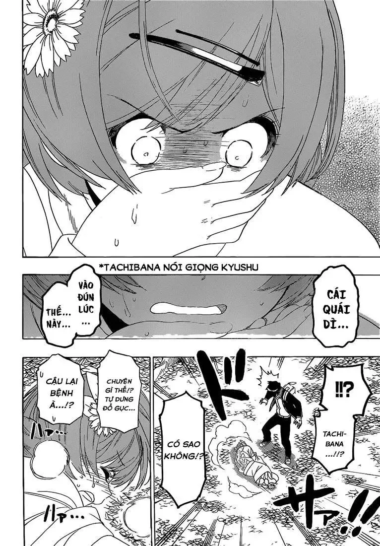 Nisekoi Chap 181 - Next Chap 182