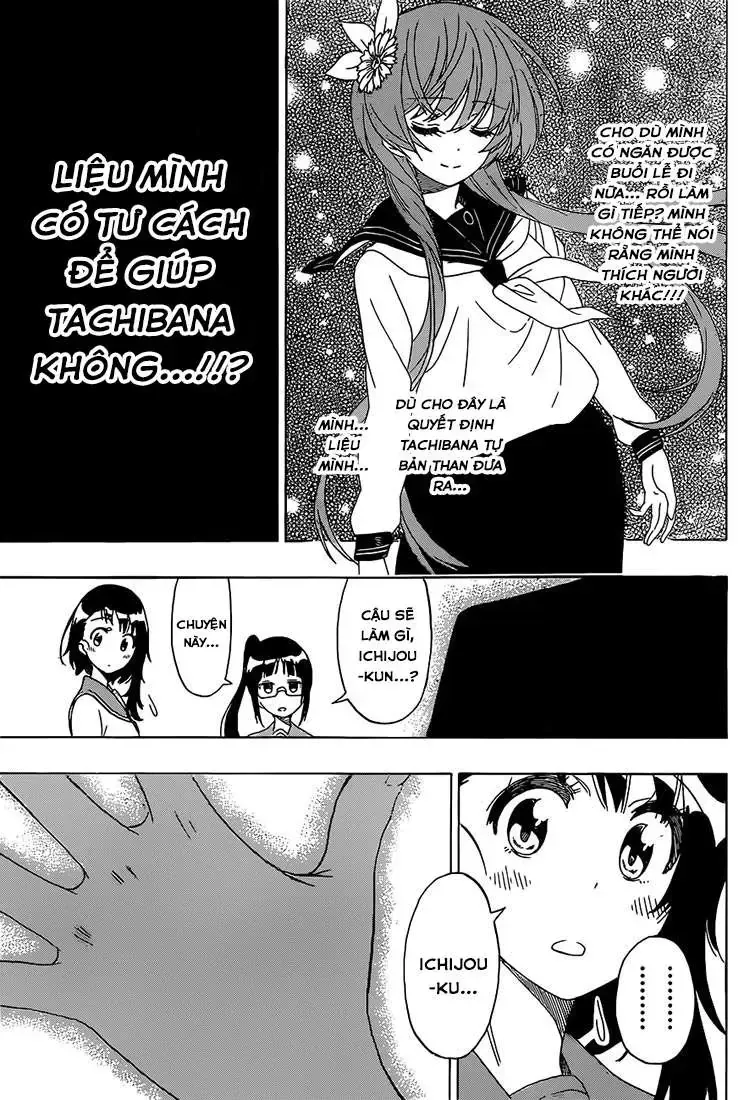 Nisekoi Chap 182 - Next Chap 183