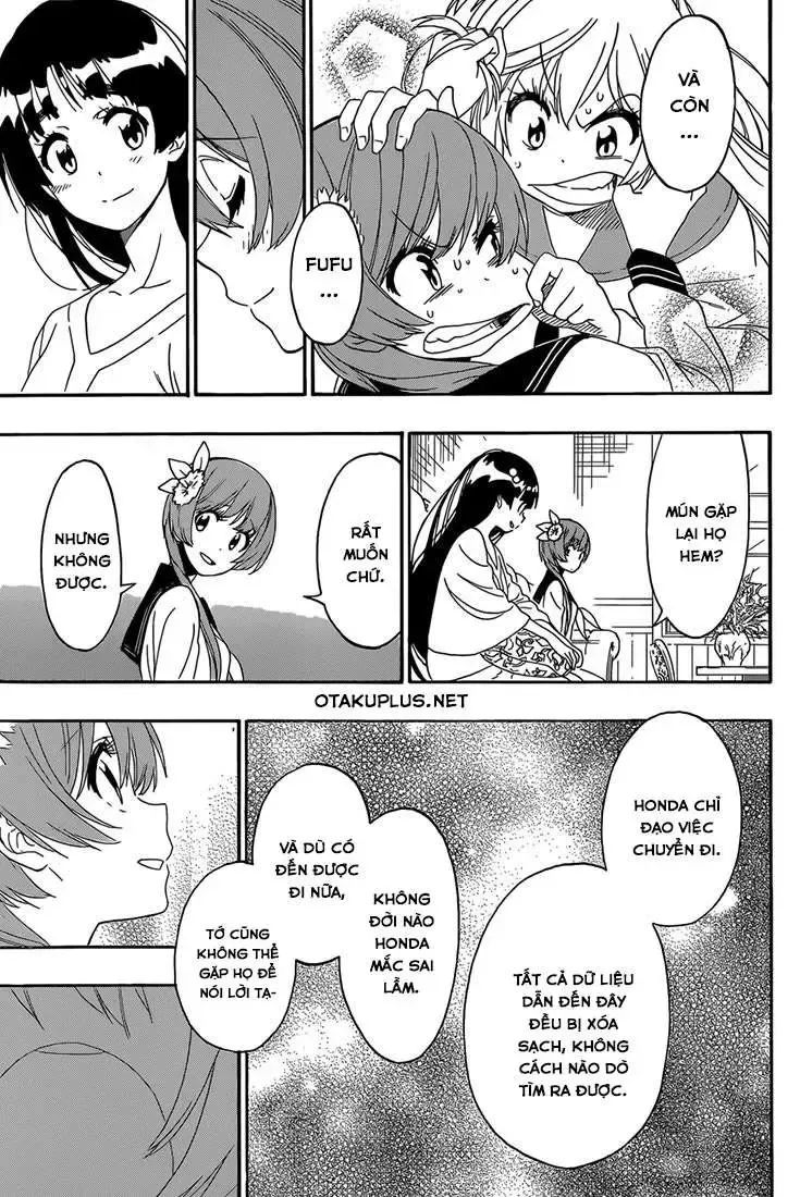 Nisekoi Chap 183 - Next Chap 184