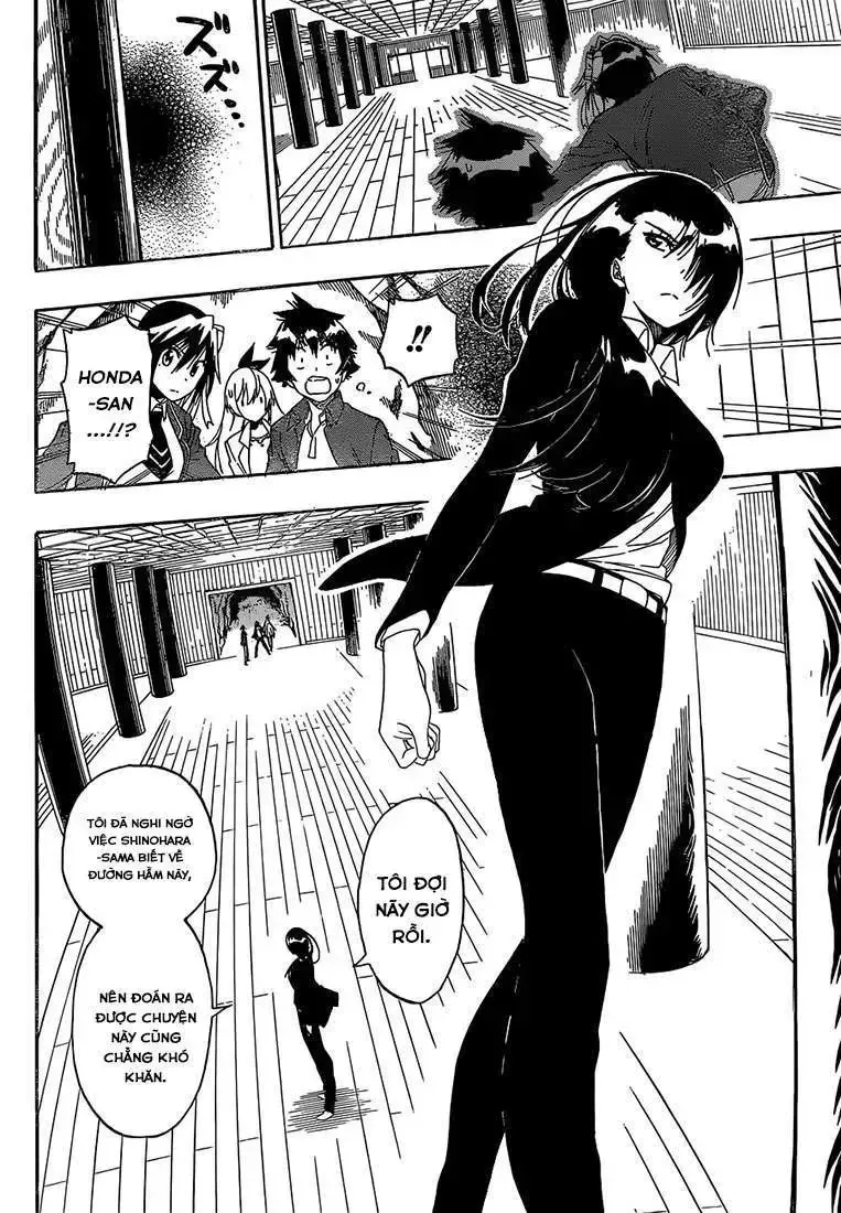 Nisekoi Chap 184 - Next Chap 185