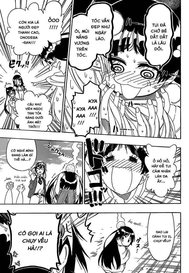 Nisekoi Chap 184 - Next Chap 185