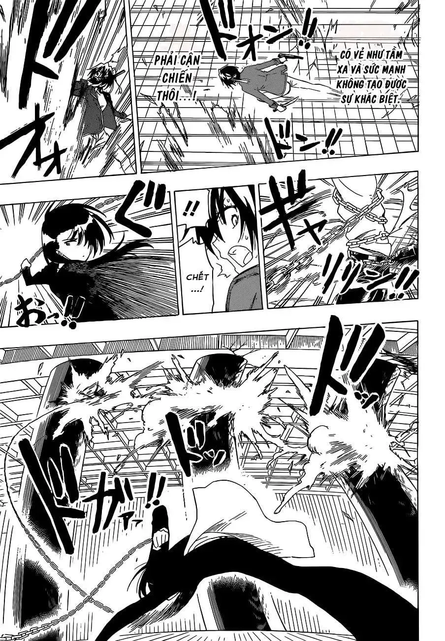 Nisekoi Chap 185 - Next Chap 186